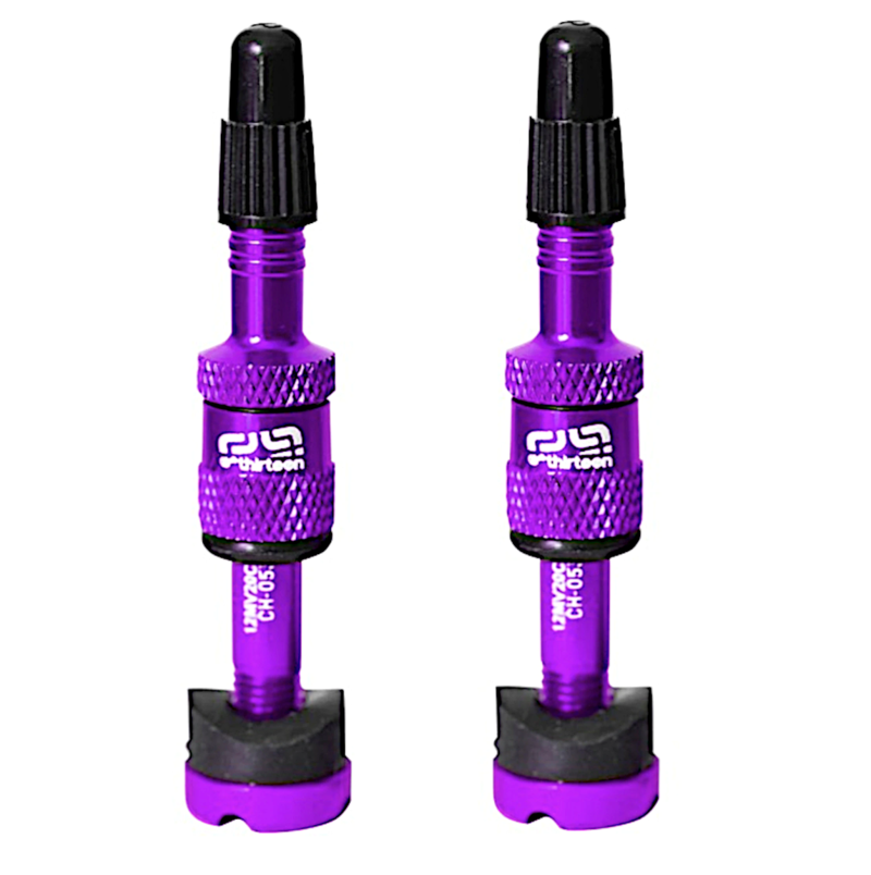 Quick Fill Tire Valves(23-30mm Rim) Pair - Egg NLS Eggplant