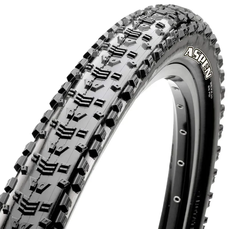 Maxxis Aspen 29x2.25-inch Fold 170 MSPD EXO TR Tire in Black
